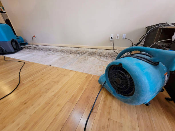 Professional Basement Flood Cleanup technician working in La Vista, NE